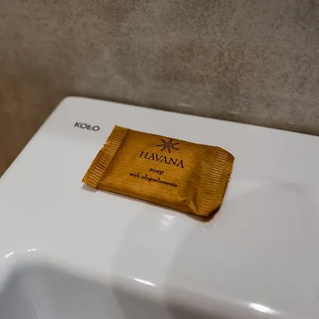 Airport Deluxe Appartamento Poznań